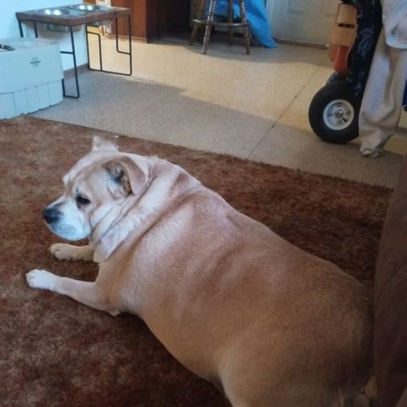 Meet your Posher, Lauryn - Picture 1 of 1